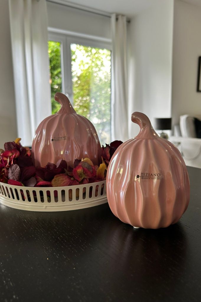 Kürbis Rondin glory pink