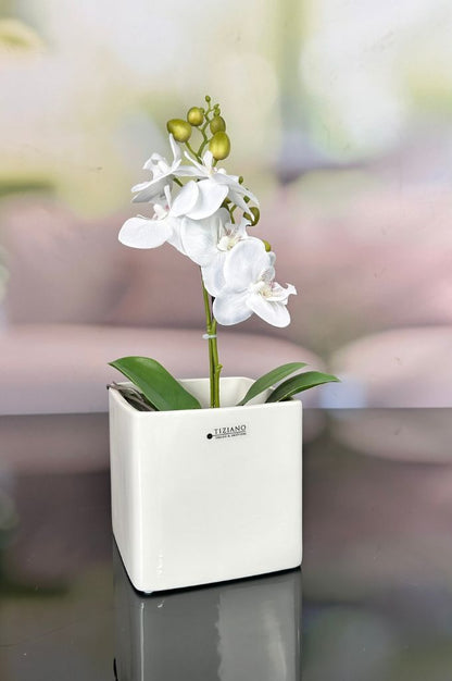Orchideenkübel Saltino 14cm creme-weiß