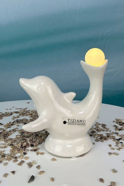 Geschenkbox Delfin Sandy LED