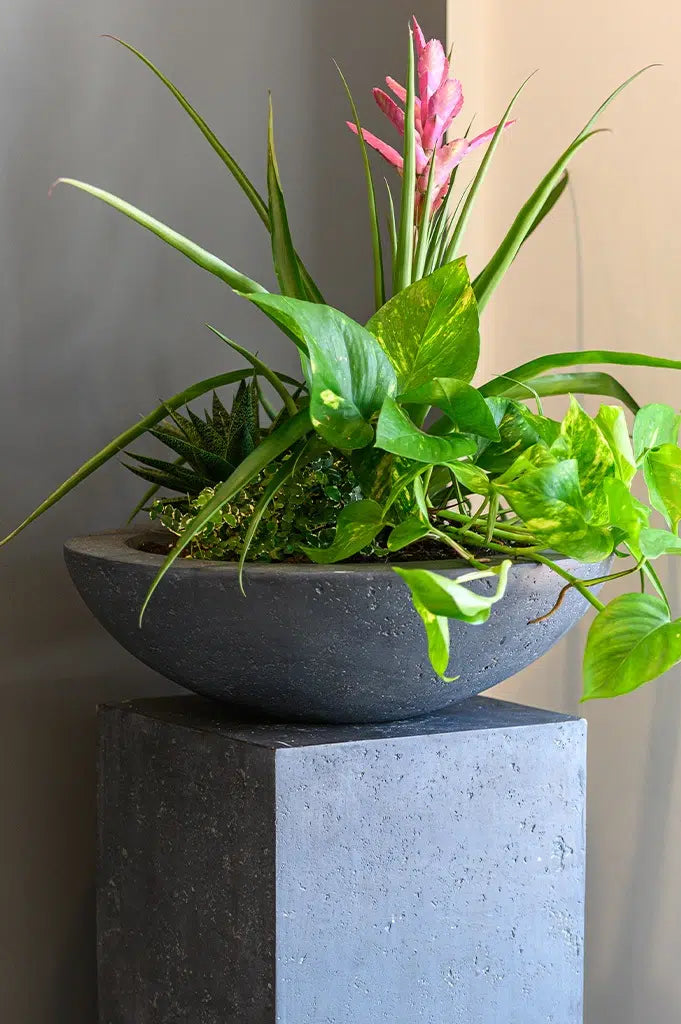 Schale Peer anthrazit 46cm