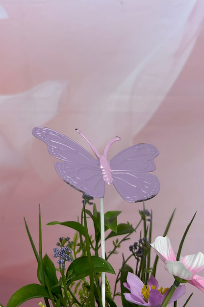Dekoset Schale Arco mit Schmetterling Lia und Marilin