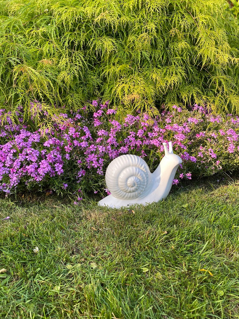 Schnecke Berta creme-weiß