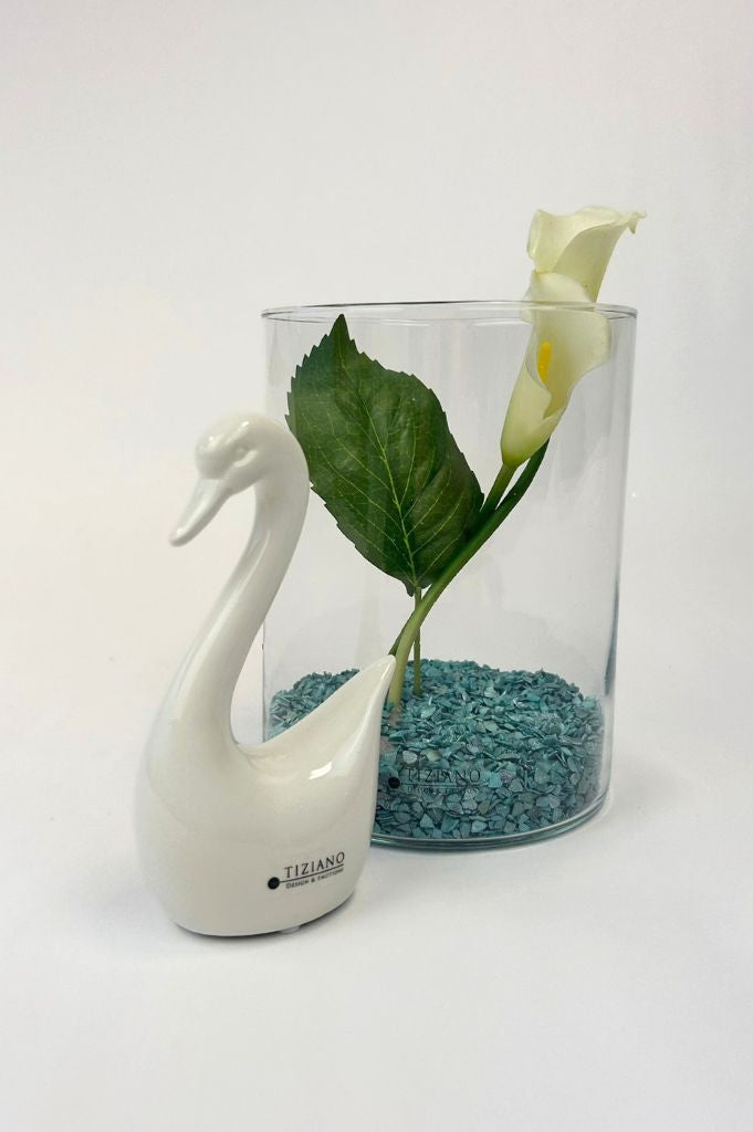 Dekoset Glasvase Nostra klar+Schwan Scarlett creme-weiß