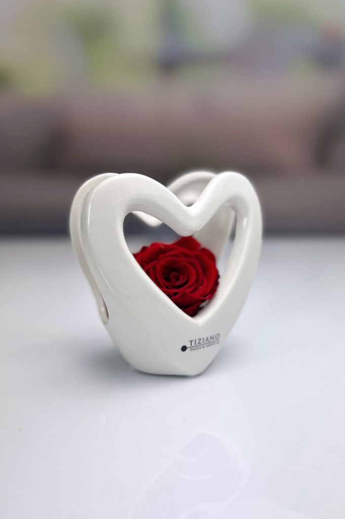 Dekoset Herzvase Sentina mit Infinity Rose rot