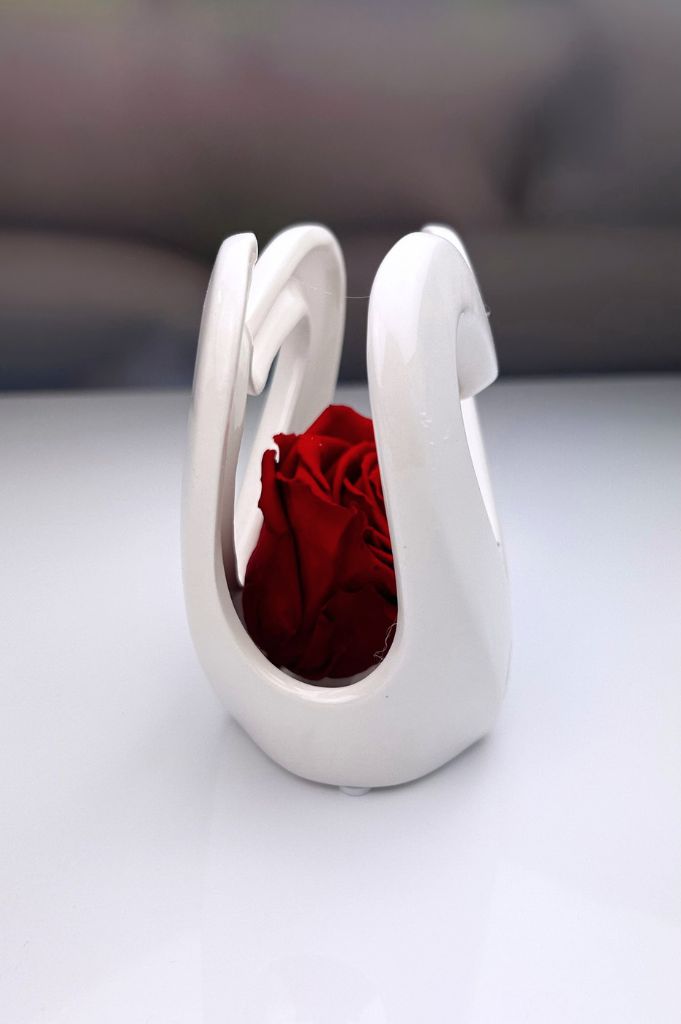 Dekoset Herzvase Sentina mit Infinity Rose rot