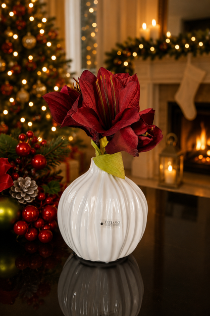 Vase Siena bauchig creme-weiß