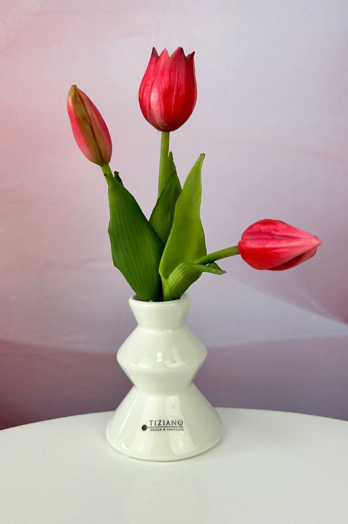 Dekoset Cuori mit LED Kugel Pallina und Alegra