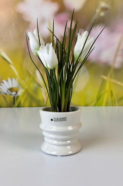 Dekoset Silandro mit Geraldo und Tulpen