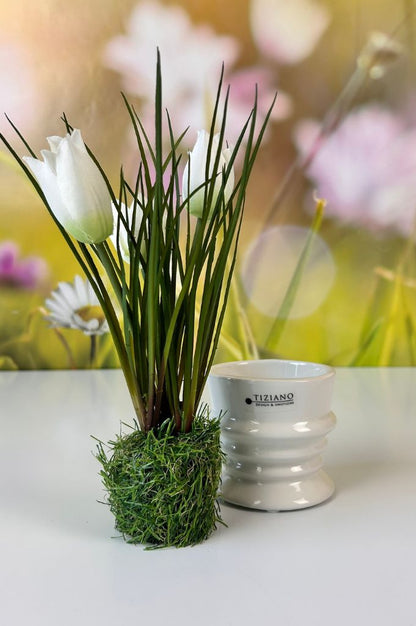 Dekoset Silandro mit Geraldo und Tulpen