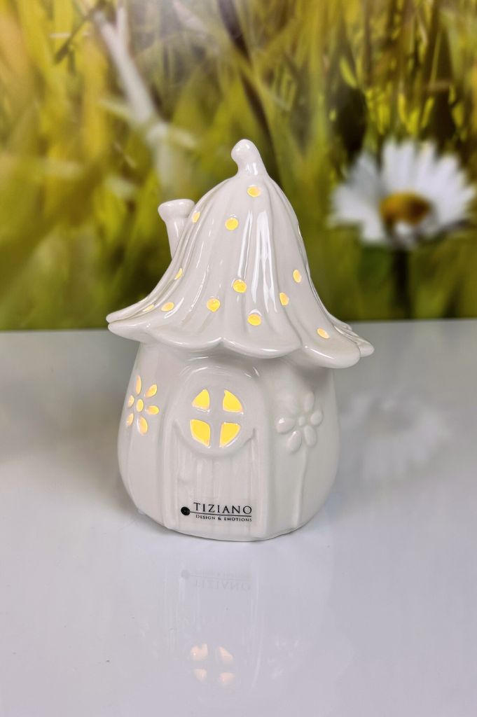 Geschenkbox M Frosch Vico liegend+Haus Solina LED