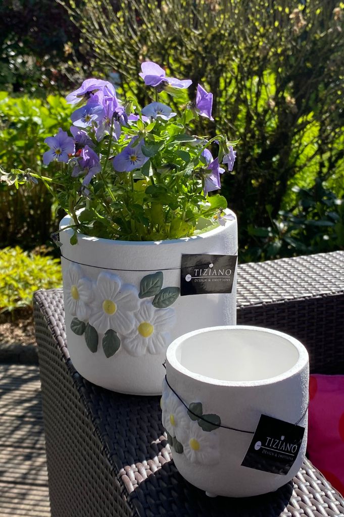Kübel Spello rustik mit weißen Blumen