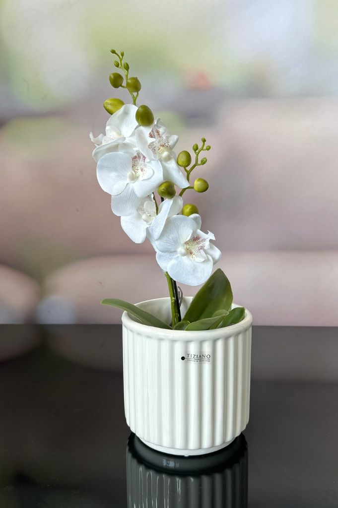 Orchideenkübel Torino 14cm creme-weiß