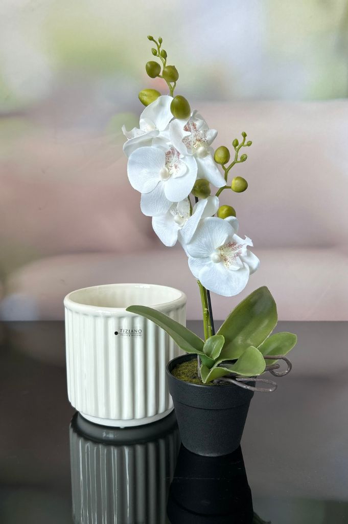 Orchideenkübel Torino 14cm creme-weiß