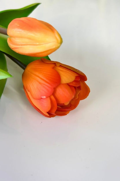 Tulpenbündel pfirsich-orange mit 4 Blüten