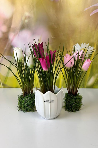 Tulpenbündel auf Grassockel farb. sort