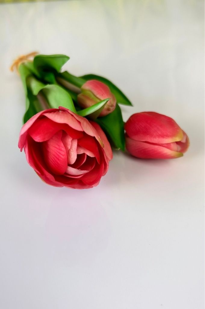 Tulpenbündel rosa mit 4 Blüten