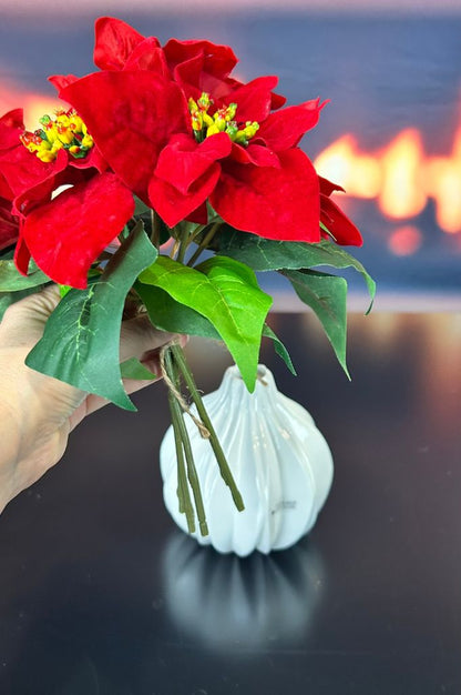 Deko Christstern Bündel rot