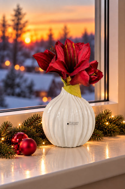 Vase Siena bauchig creme-weiß
