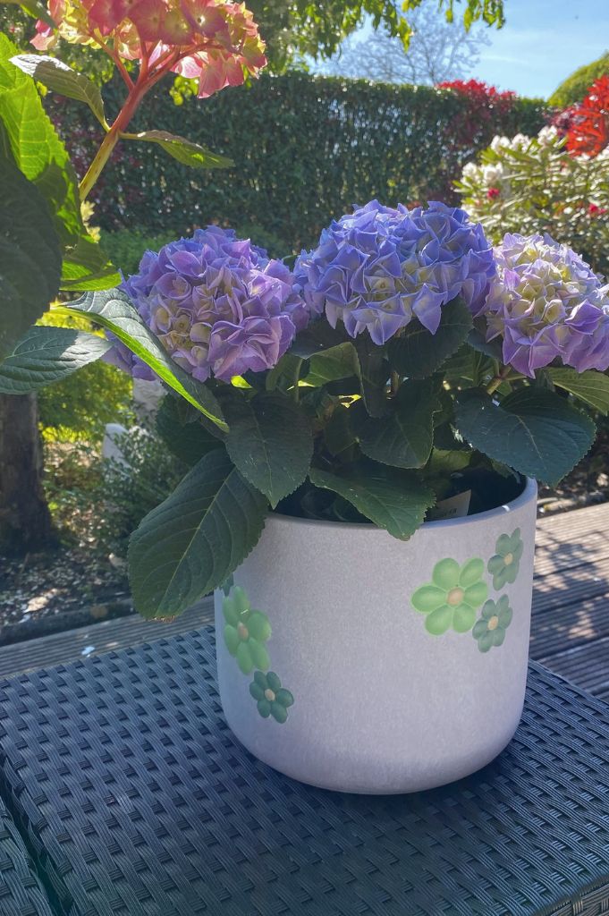 Kübel Villa grau mit grünen Blumen große Größen