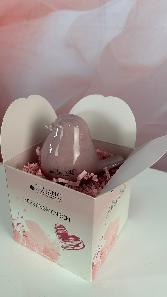 Würfelbox Amore mit Vogel Pallino rosa