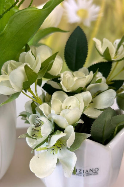 Dekoset Tolina mit Lia und Silandro