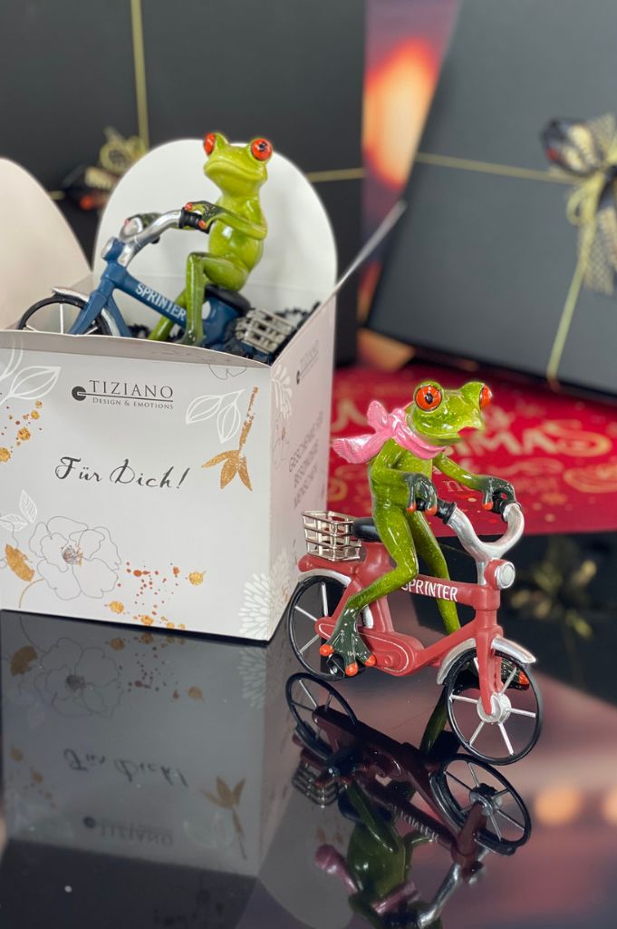 Würfelbox Für Dich mit Frosch auf Fahrrad