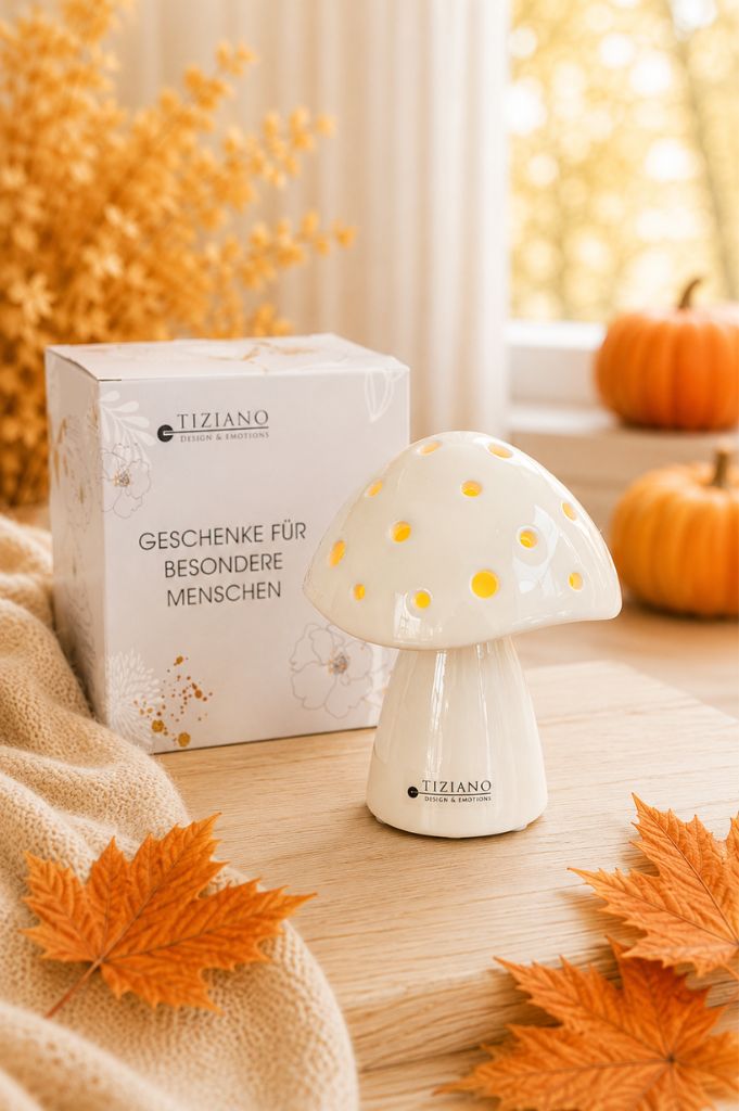 Würfelbox für Dich mit LED Pilz Niara