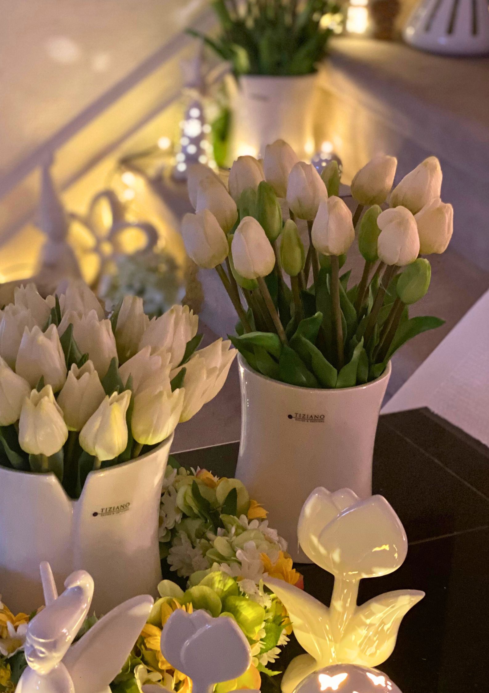 acrobello-m-tulpen-lang