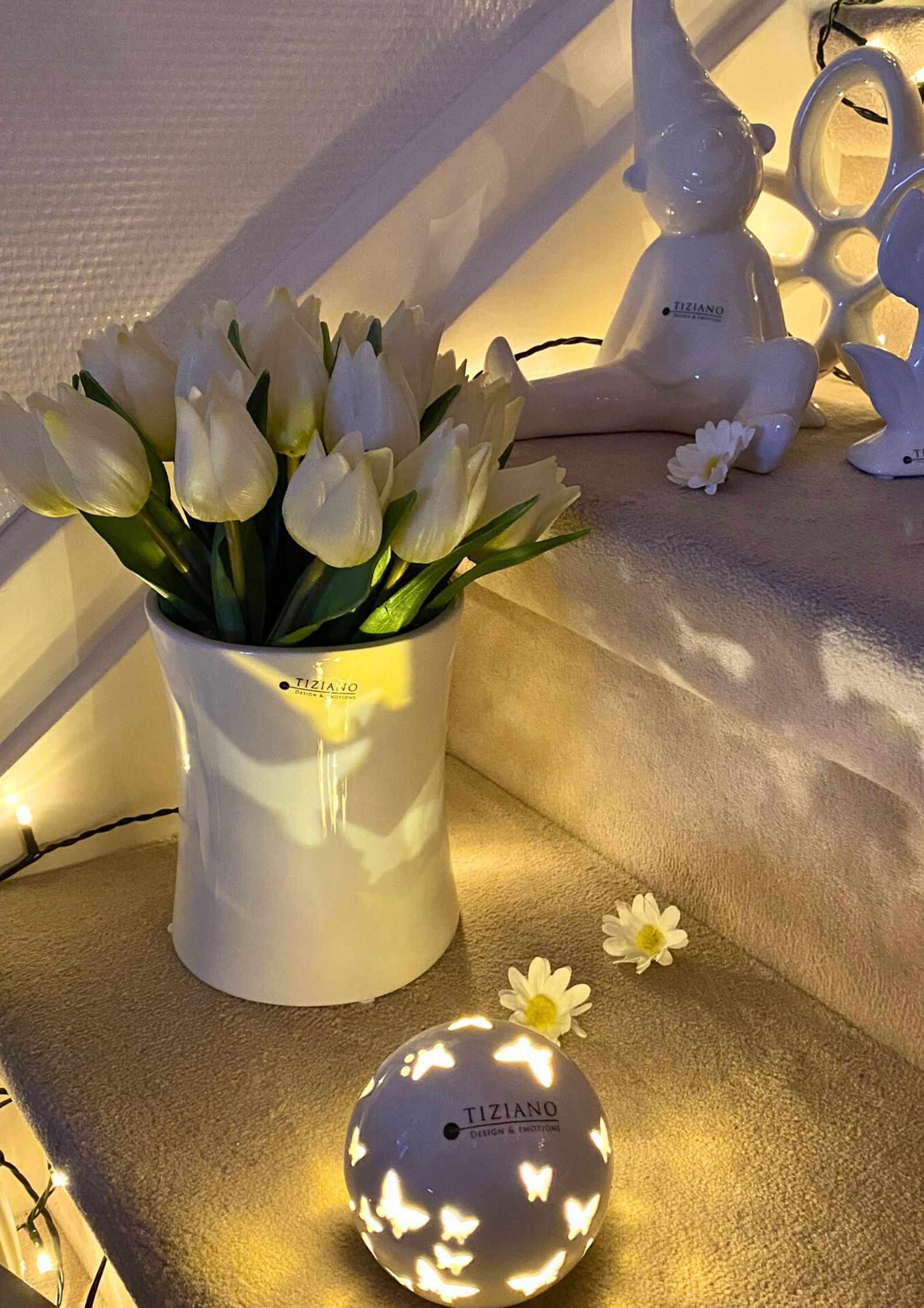 acrobello-m-tulpen