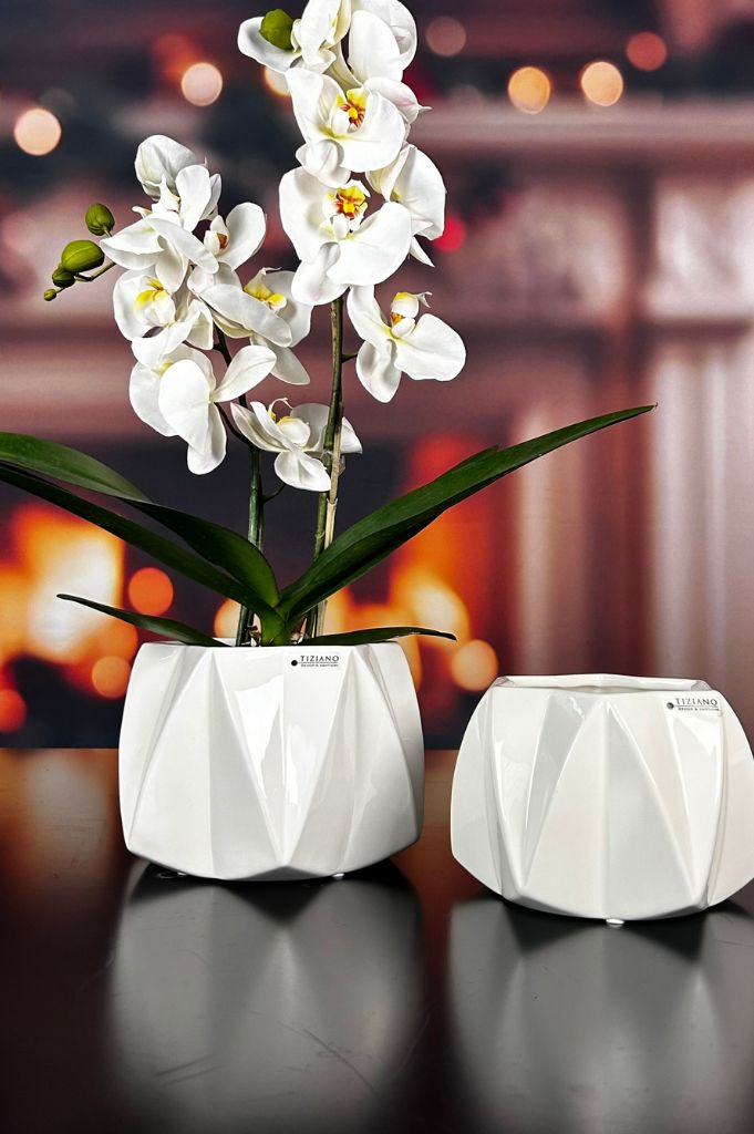 Kübel Alba creme-weiß 2. Wahl