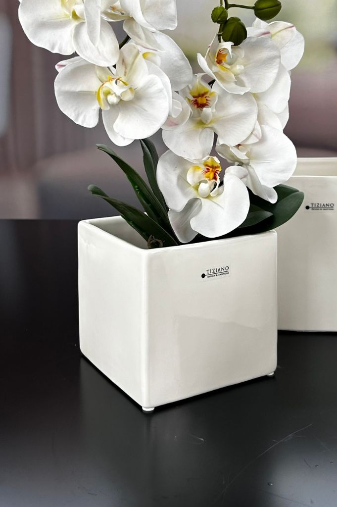 Kübel Ascoli creme-weiß