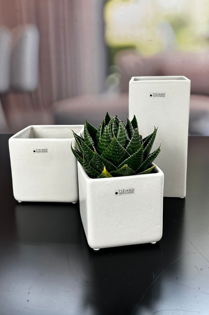 Kübel Ascoli creme-weiß