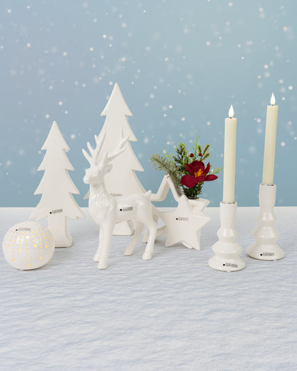 Dekoset Leuchtendes Weihnachten