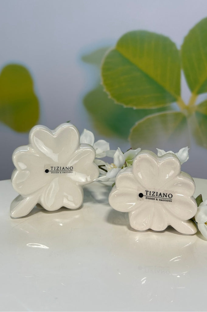 giveaway_alegra (2)