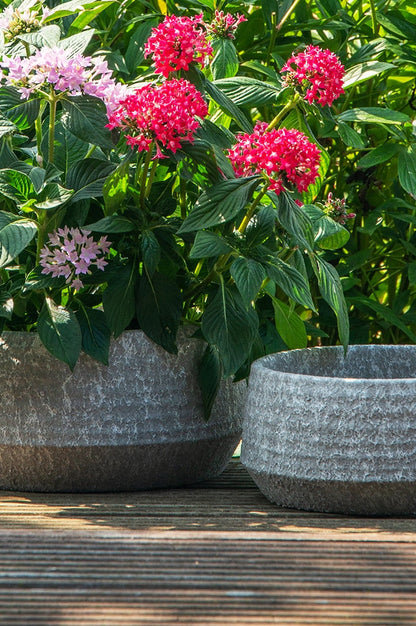 mendes-schale-grau-dunkel-detail