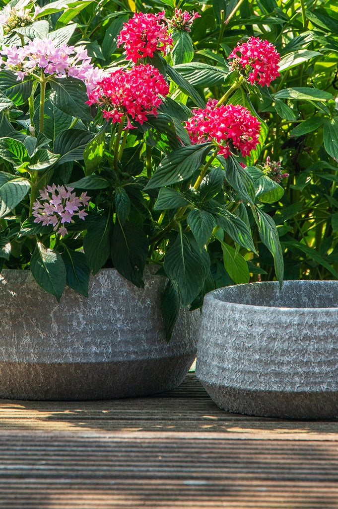 mendes-schale-grau-dunkel-detail