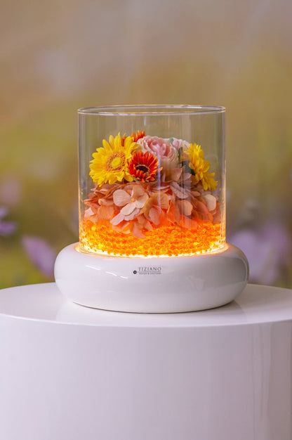 merida-led-wl