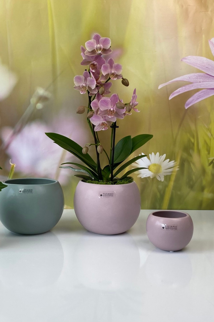 Orchideenkübel Morenga 16cm Laguna-grün matt