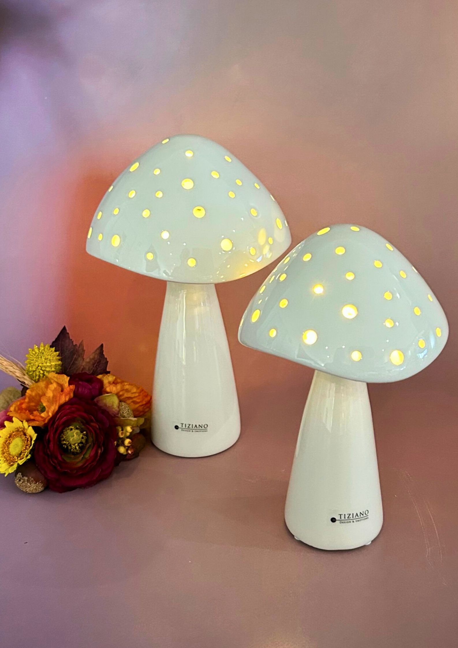 niara-pilz-hoch-led