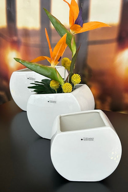 orchideenkübel_coserta (1)