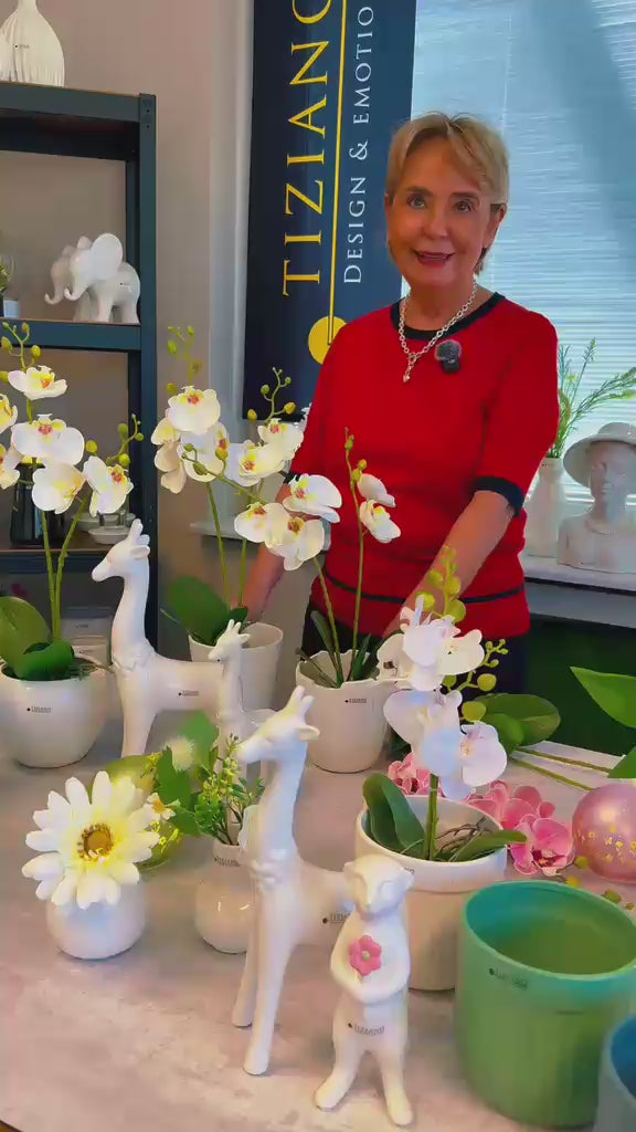 Video laden: 