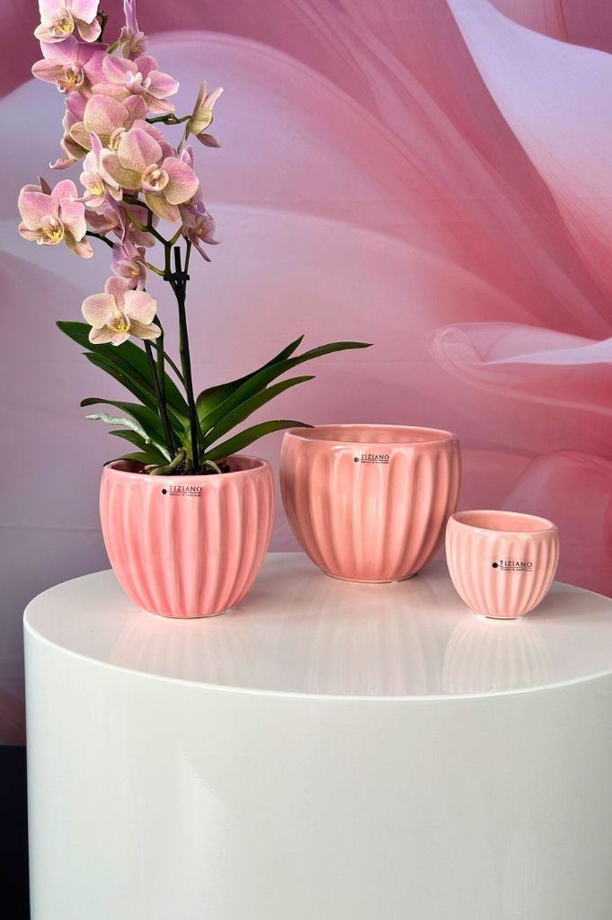 Kübel Prisma hellrosa & dunkelrosa