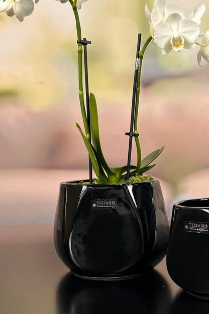 Orchideenkübel Skara 15cm schwarz