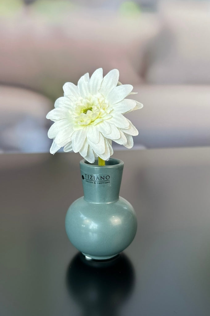 Dekoset Metallschale Legri mit Alfredo+Emporo grün+creme