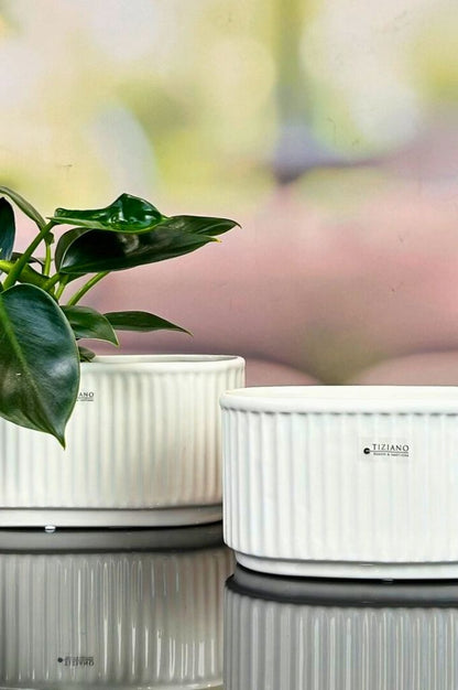 Jardiniere Torino creme-weiß