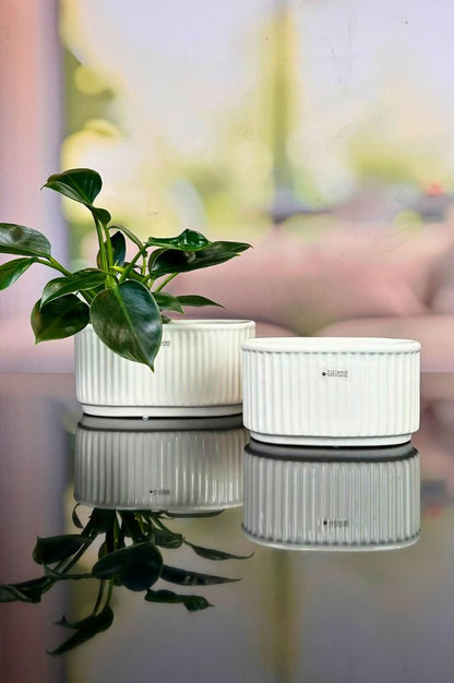 Jardiniere Torino creme-weiß