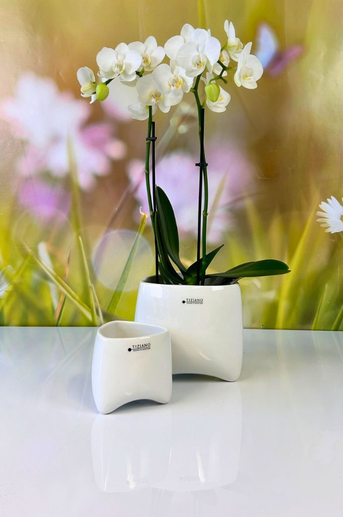 2er Set Kübel Triangolo 9+13,5 creme-weiß